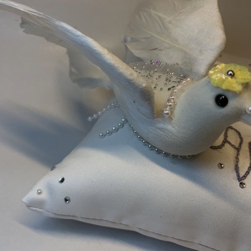 Colombes Coussin de alliances