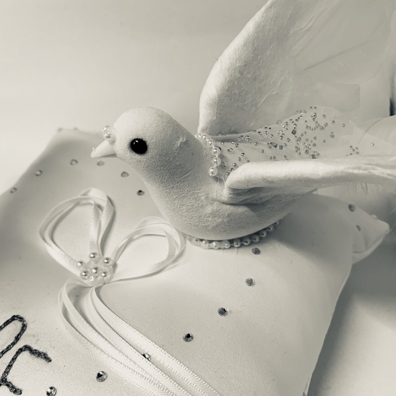 Colombes Coussin de alliances