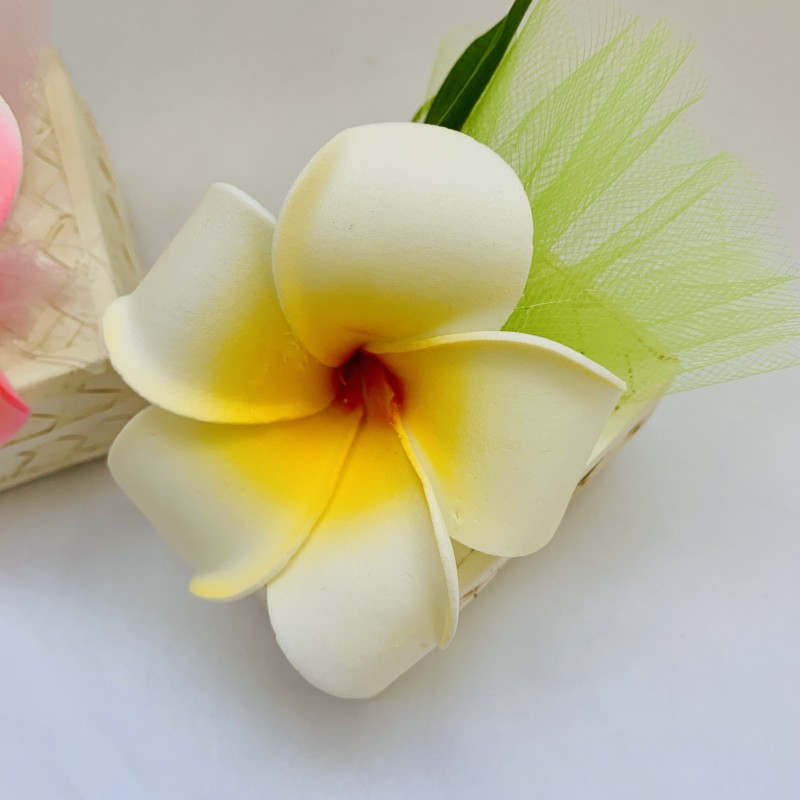 Frangipani boite tressé