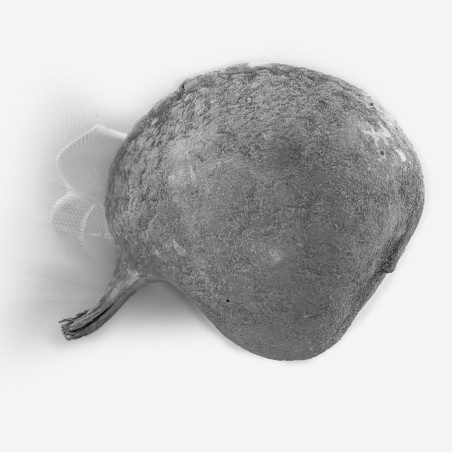 Bonbonnière exotique  Buddha Nut