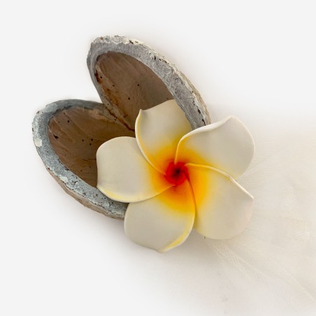 Betel nut mariage Zen