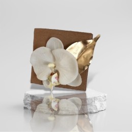 Boite Kraft orchidée blanc