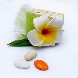 Plumeria flower deco boite...