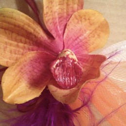 Orchid plume porte dragée