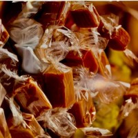 Catégorie Caramels-  : Caramels parfums chocolat pain d'épices sel de guérande et natural